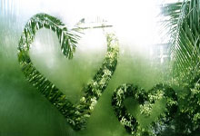 今日女单决赛直播看点在哪里？