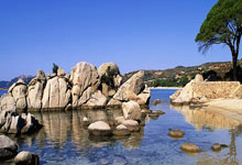 上海五星体育今天节目表有哪些精彩内容？